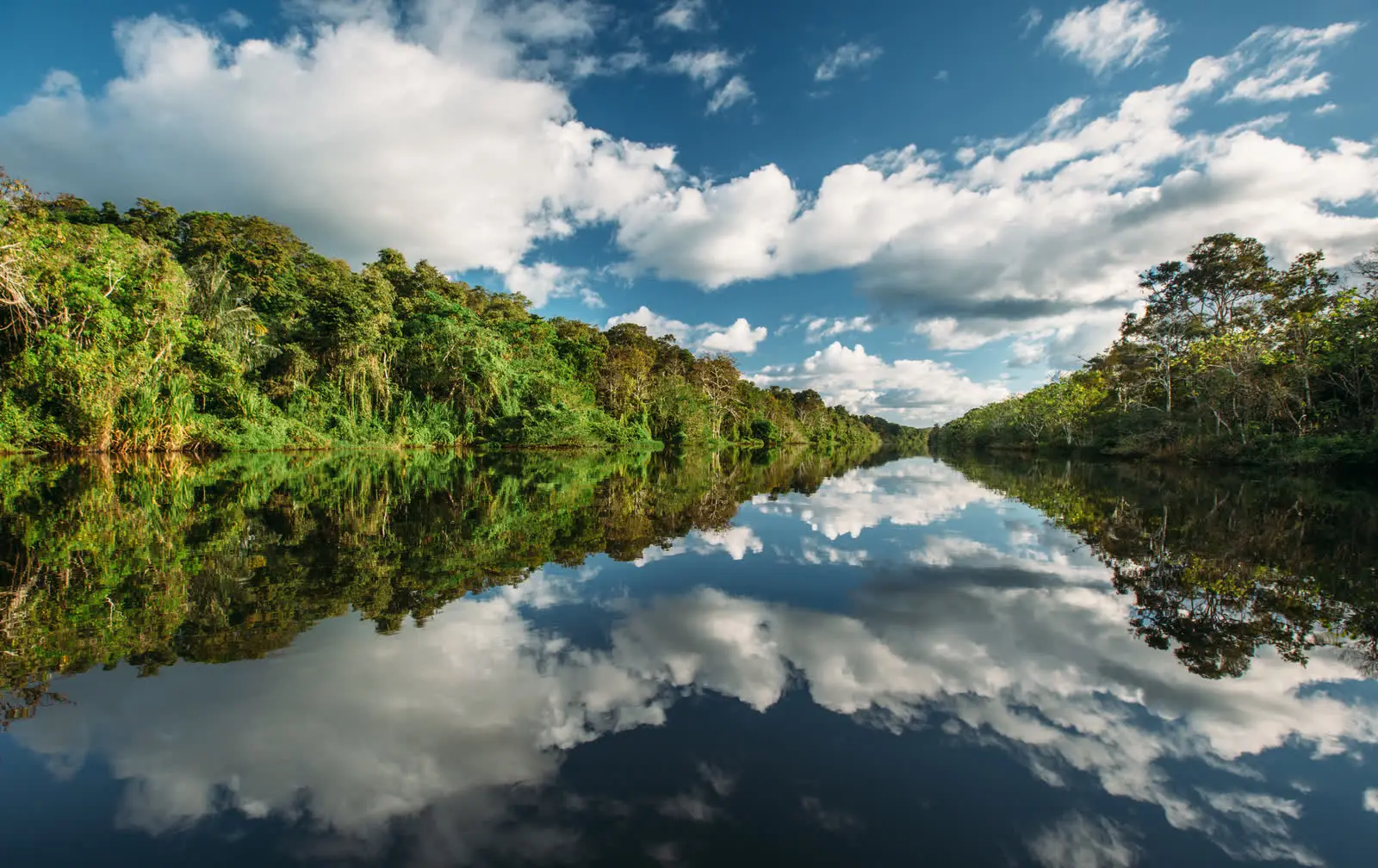 Río amazónico en calma reflejando las nubes y la orilla de selva